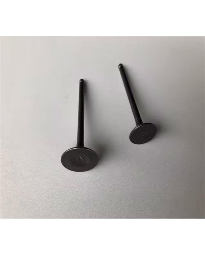 VALVULA ESCAPE WAVE 100/C110 KIGCOL