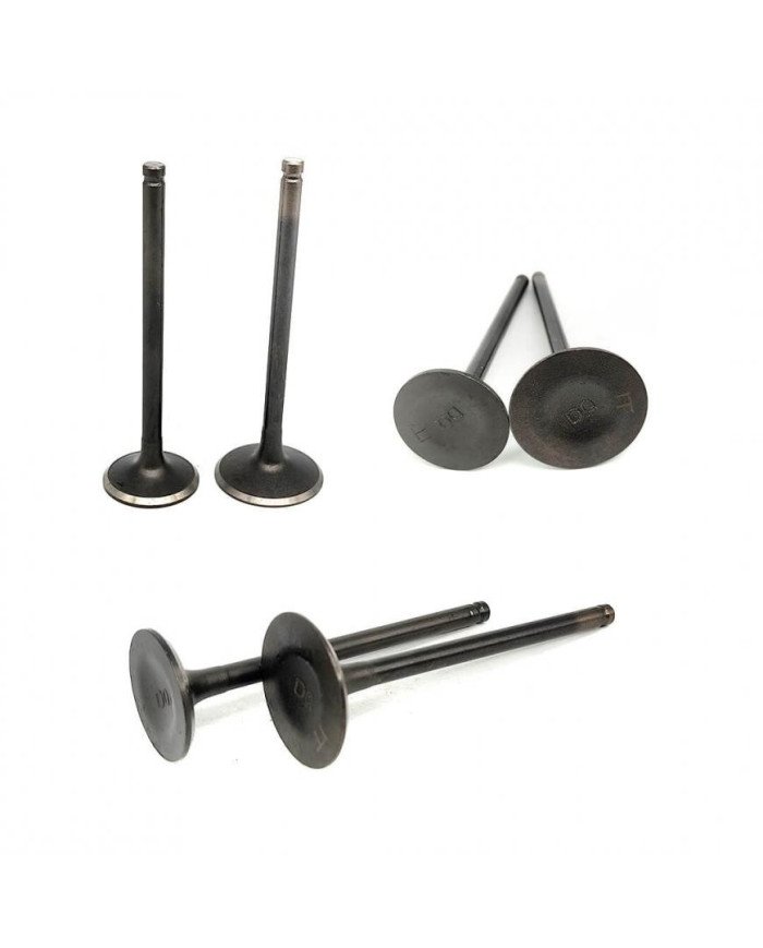 VALVULA ADM/ESC CB200 RONCO-SENKE KIGCOL