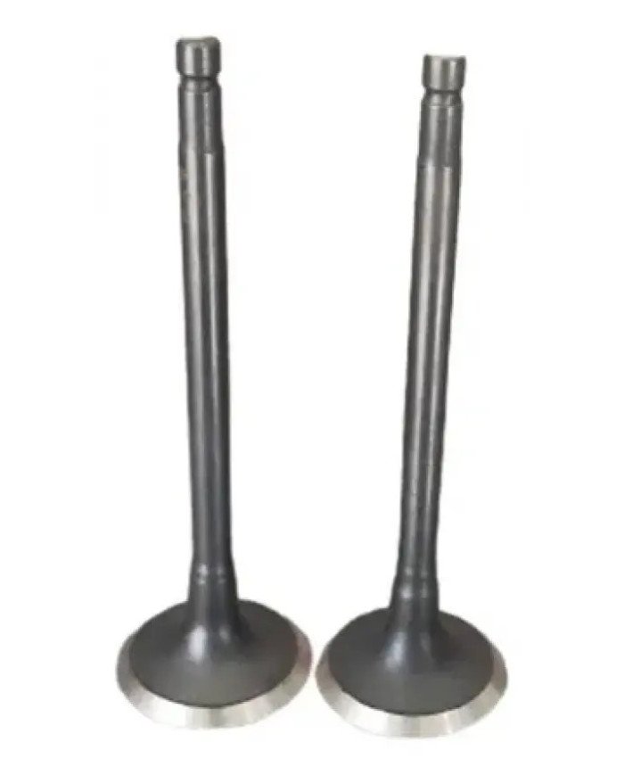 VALVULA ESCAPE YX300 C/SEG KIGCOL