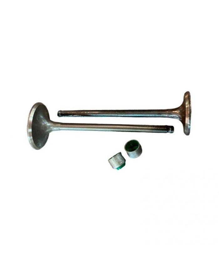 VALVULA ESCAPE HONDA CBF/GL/XR125 CORE2 VDMOTORS