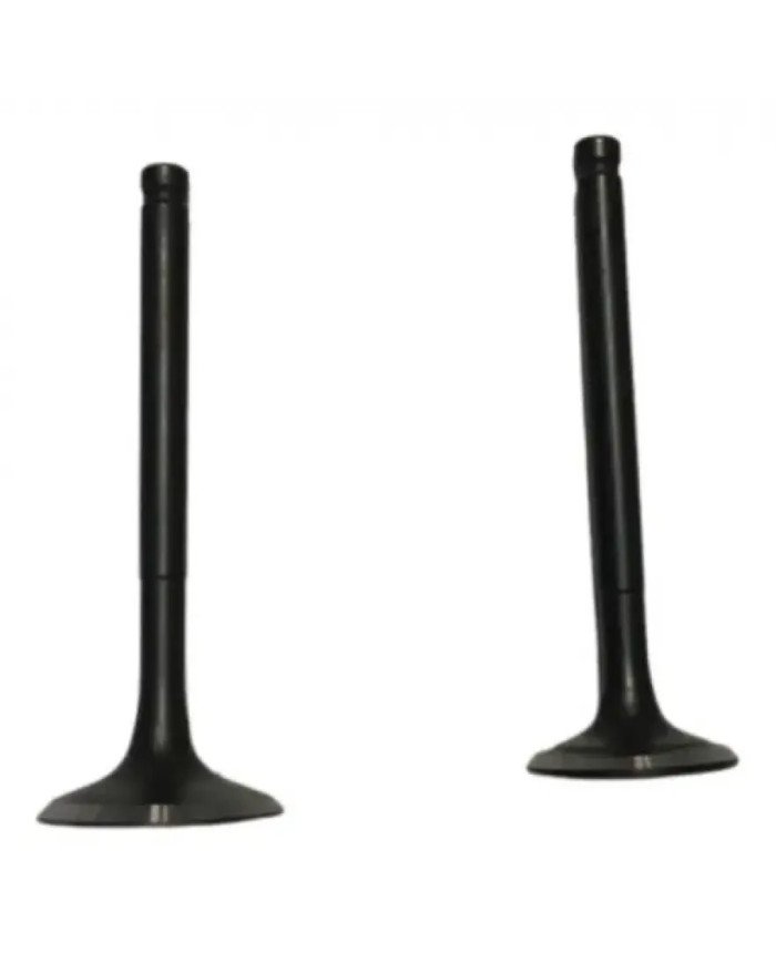 VALVULA ADM/ESC HONDA CBF125  KIGCOL