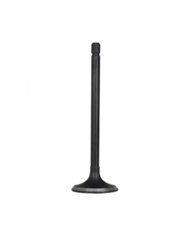 VALVULA ESCAPE CG250 C/S KIGCOL