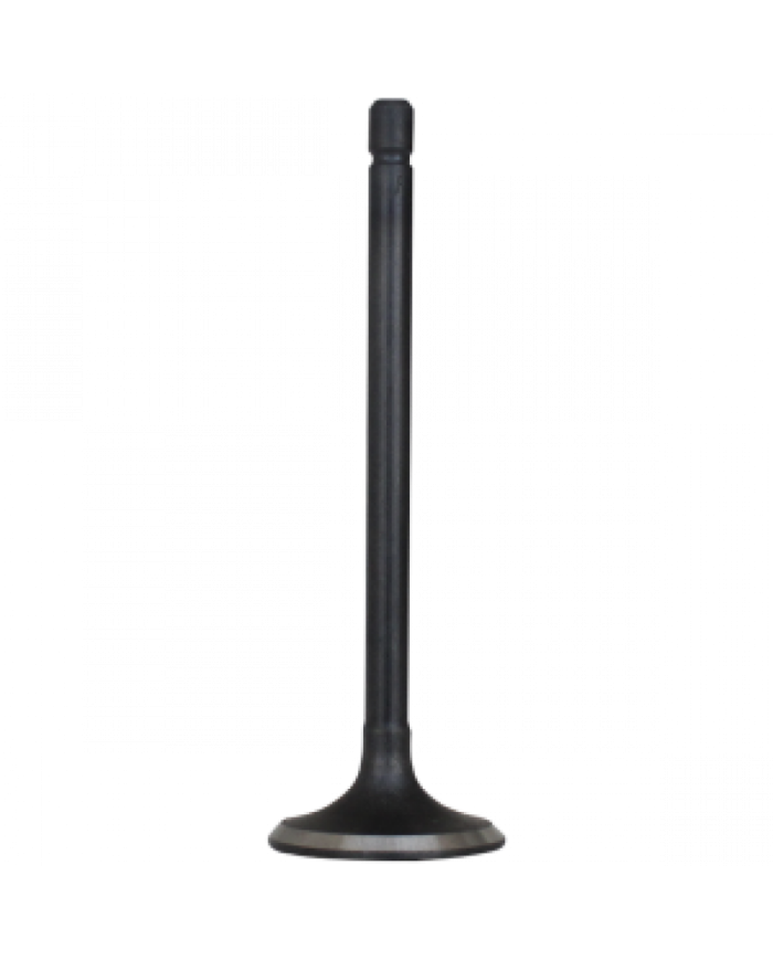 VALVULA ESCAPE CG250 C/S KIGCOL