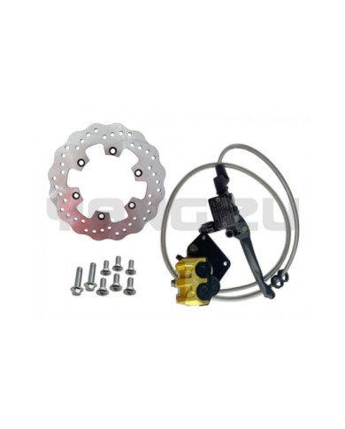 FRENO DELT SISTEMA COMPLETO C/DISCO BROSS BARRA INVERTIDA RCC