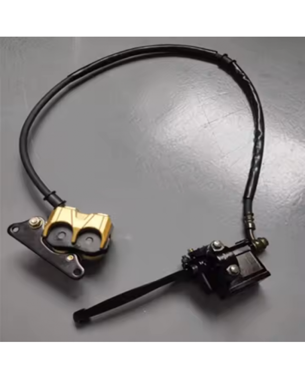 CALIPER COMPLETO C100/110 BJR