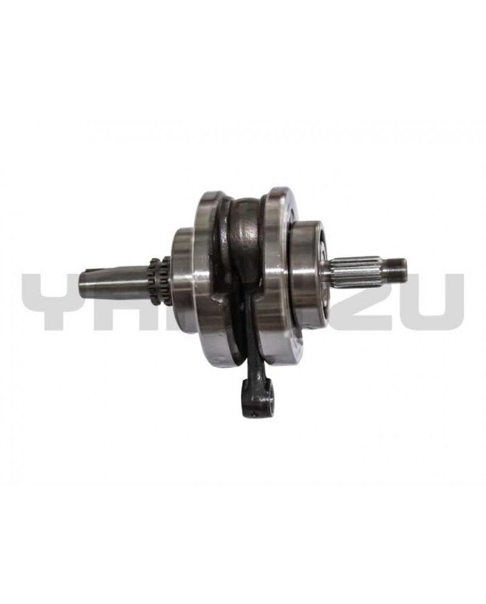 CIGUEÑAL COMPLETO ZS200 CN