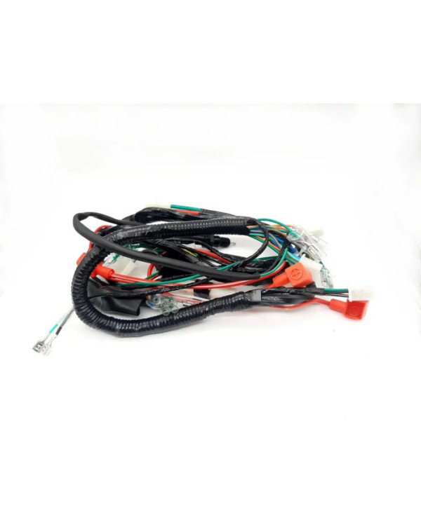 RAMAL ELECTRICO C50A TW