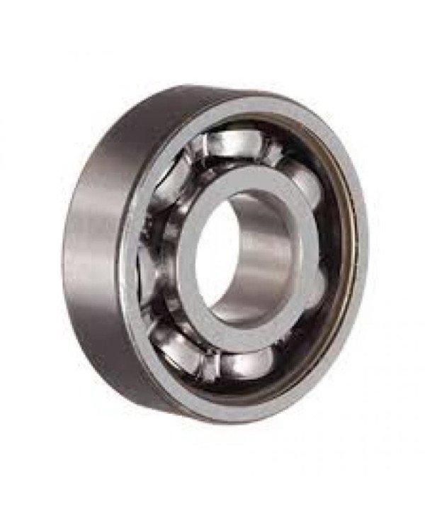 RODAJE 6206 -2RS GDM