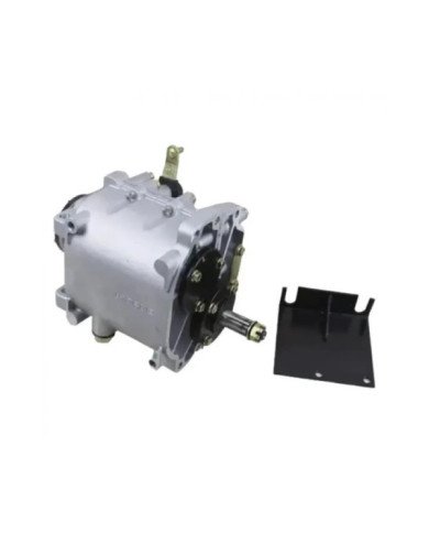 CAJA TRANSMISION MOTOR LF CG200-250 CARGUERO RCC