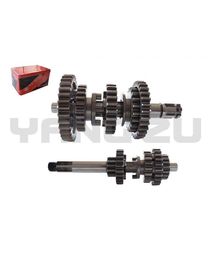 CAJA TRANSMISION DISCOVER 125-ST 18/24T(L132.5MM) YZU