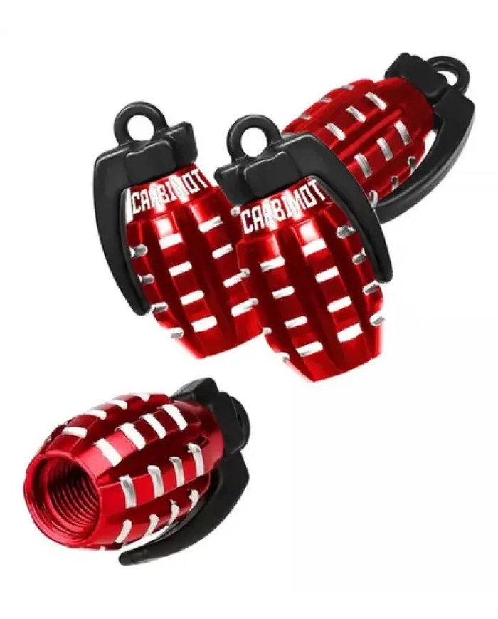 TAPA DE PITON A (GRANADA)