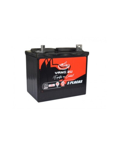 BATERIA 12V 5 PLACAS U1R300 CARGUERO YZU