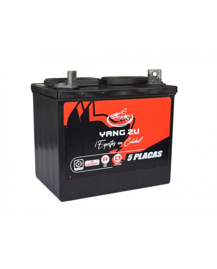 BATERIA 12V 5 PLACAS U1R300 CARGUERO YZU