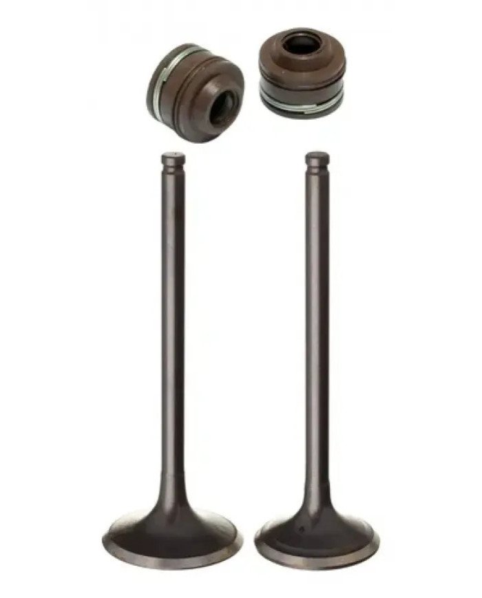 VALVULA CG 125CC DE ADMISION Y ESCAPE CON SEGUROS (MARCA DQ)