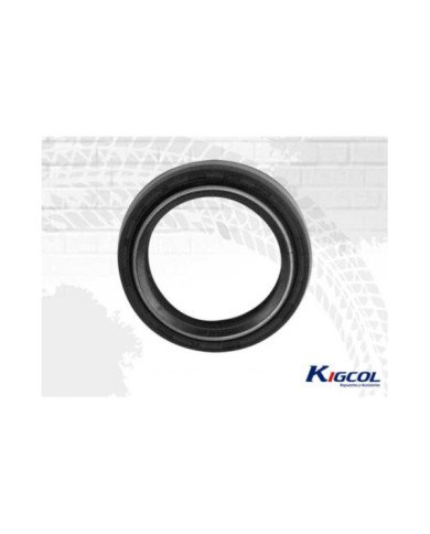 RETEN TELESCOPICO YAMAHA R15 (33-45-8/10.5) KIGCOL