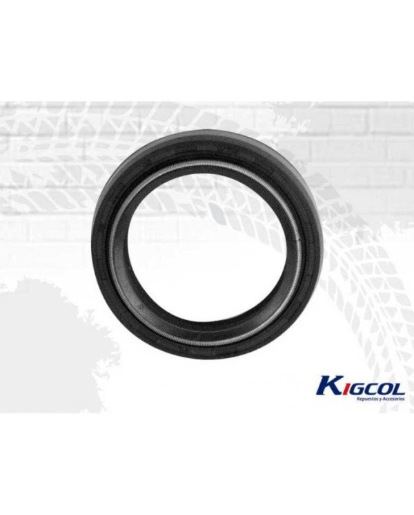 RETEN TELESCOPICO YAMAHA R15 (33-45-8/10.5) KIGCOL