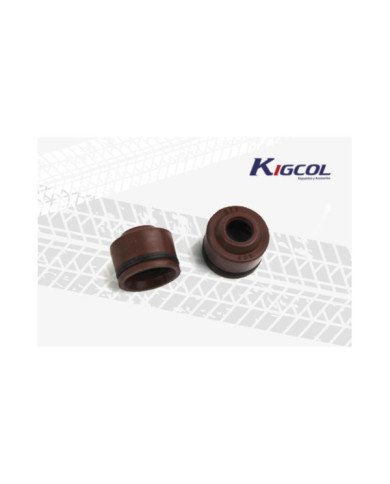 RETEN VALVULA MARRON C100-110 KIGCOL