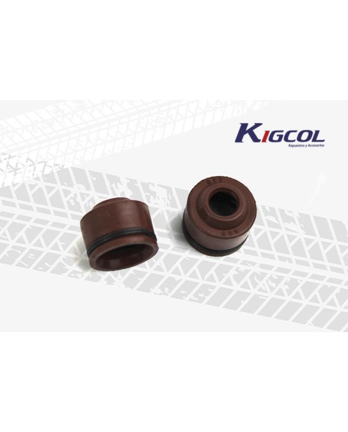 RETEN VALVULA MARRON C100-110 KIGCOL