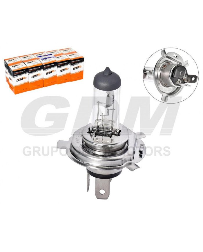 FOCO DELT. TITAN H4 GDMRACING