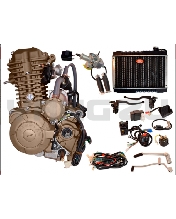 MOTOR MARCA YANG ZU CG300 EJE LARGO VARILLERO AGUA C/RADIADOR Y  ACCESORIOS(300CC,72MM)(M.GRUESA)(1N2345)TITANIO YXZ172MN1S01644