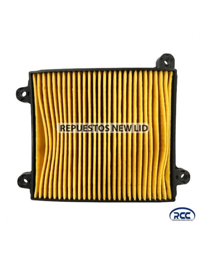 FILTRO AIRE C100/110 RCC