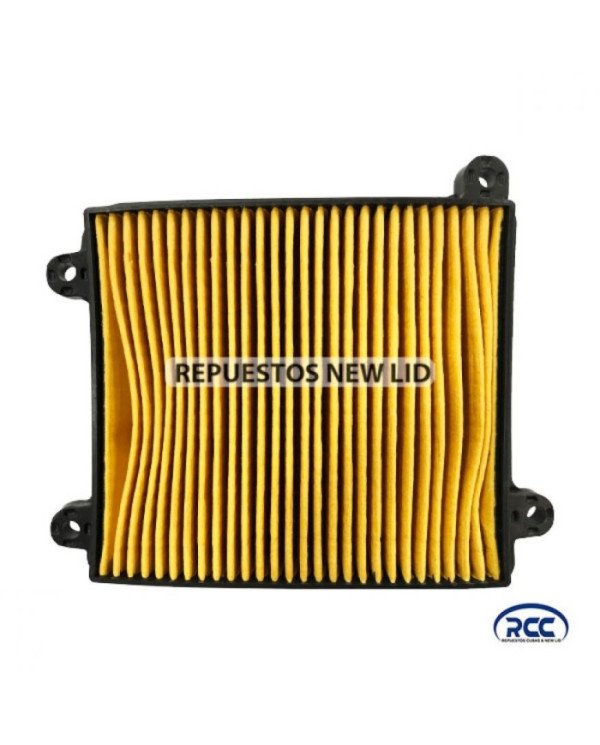 FILTRO AIRE C100/110 RCC