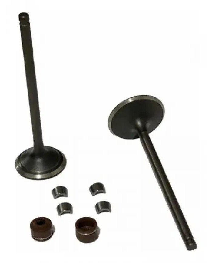 VALVULA ADM/ESC TEKKEN 250 ADEX D Q C/SEGURO AGC