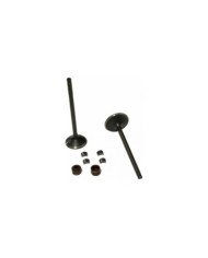 VALVULA ADM/ESC TEKKEN 250 ADEX D Q C/SEGURO AGC