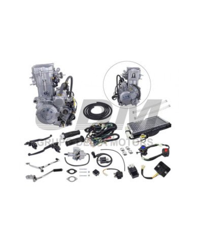 MOTOR MARCA GDM 250CC E/AGUA 11.5KW/7500RPM/MIN