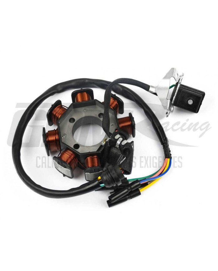 ALTERNADOR CG150 WX 8P 3H GDM