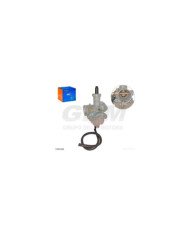 CARBURADOR COMPLETO CG150 GDM STD