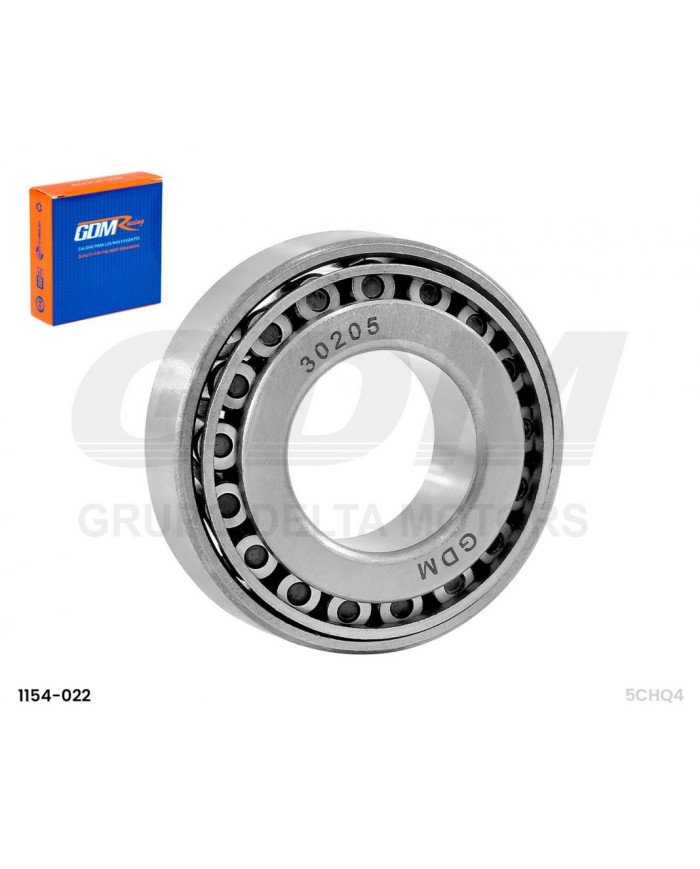RODAJE 30205 GDM