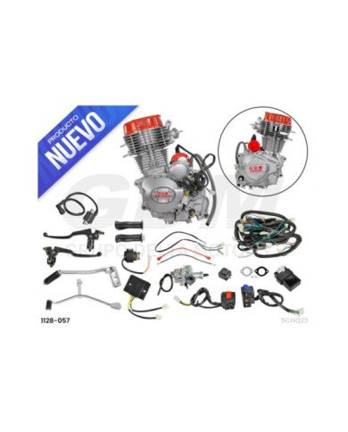 MOTOR MARCA GDM 250CC TRF E/AIRE 11.5KW/7500RPM/MIN