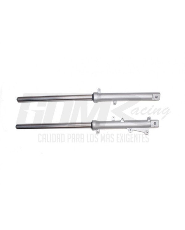 TELESCOPICO BARRA SOLA DISCO HONDA STORM 125 GDM