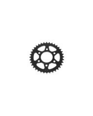 CATALINA 36T RONCO250RZ PISTERAS CHINAS 520