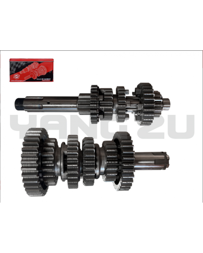 CAJA TRANSMISION MOTOR TEKKEN 250