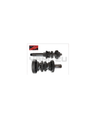 CAJA TRANSMISION MOTOR TEKKEN 250