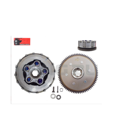 CREMALLERA COMP. LF300(DISCO ANCHO 13MM)(73T,5P,7D)