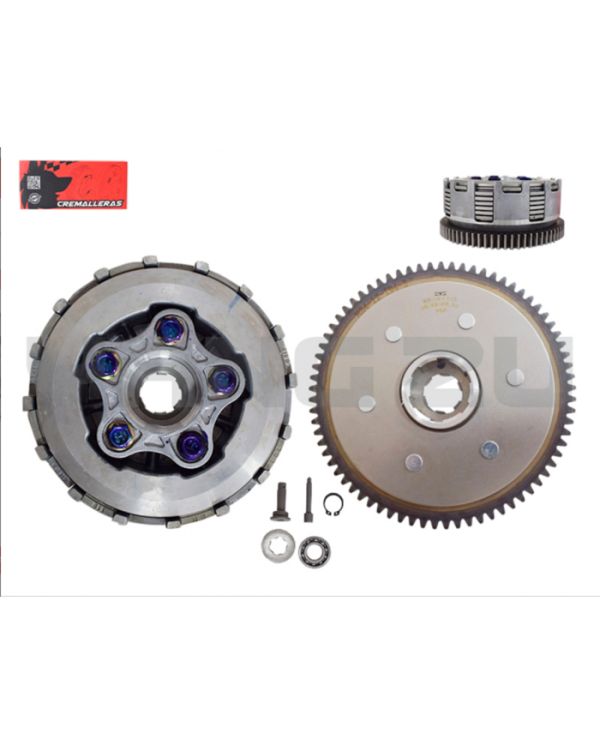 CREMALLERA COMP. LF300(DISCO ANCHO 13MM)(73T,5P,7D)