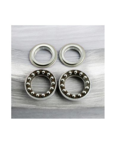 PISTA TIMON CG-GL-XL-DAX