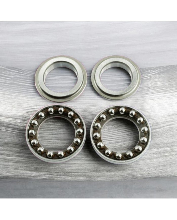 PISTA TIMON CG-GL-XL-DAX