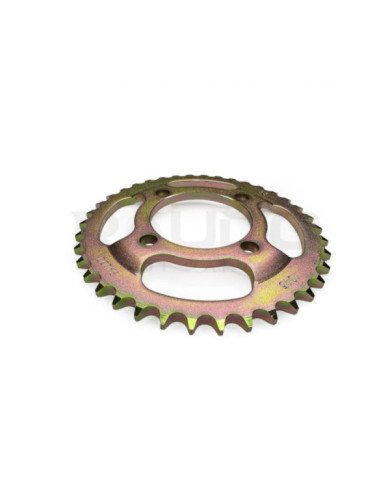 CATALINA CGL PLATO 38D RAUDO