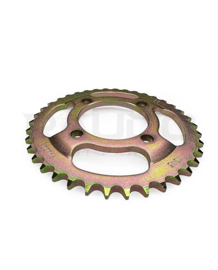 CATALINA CGL PLATO 38D RAUDO