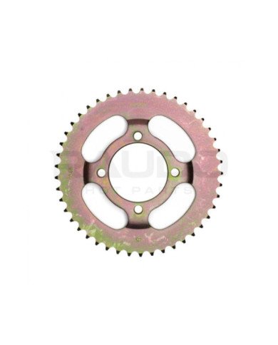 CATALINA CGL PLATO 45D RAUDO