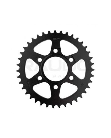 CATALINA PISTERA CH 520-39D NEGRO RAUDO