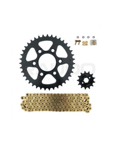 KIT ARRASTRE SSDA  520H O-RING 120L 39T /13T RAUDO