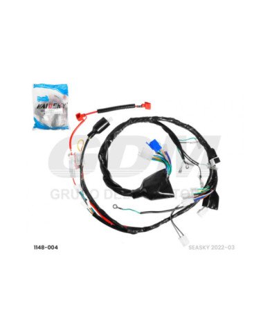 RAMAL HJ125 GL HAISSKY