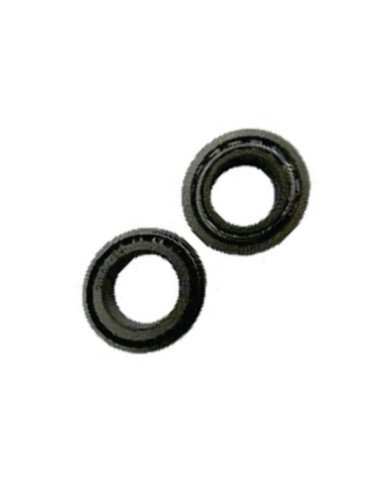 PISTA TIMON CG-GL-XL-DAX CONICO