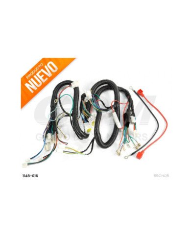 RAMAL ELECTRICO RZ250 GDM