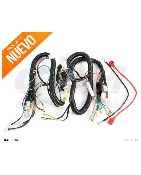 RAMAL ELECTRICO RZ250 GDM